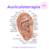 Auriculoterapia Regresiones Hipnosis